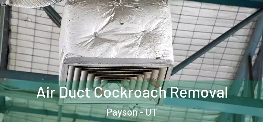  Air Duct Cockroach Removal Payson - UT