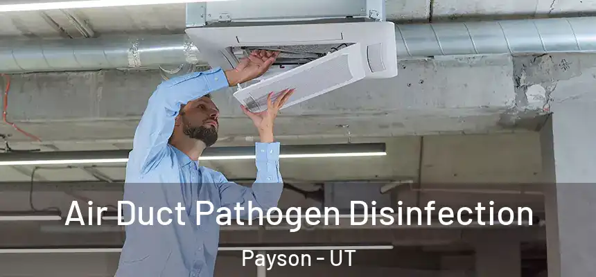  Air Duct Pathogen Disinfection Payson - UT
