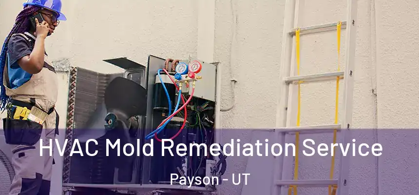  HVAC Mold Remediation Service Payson - UT