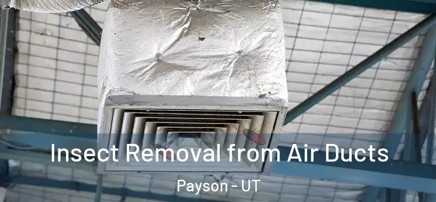  Insect Removal from Air Ducts Payson - UT