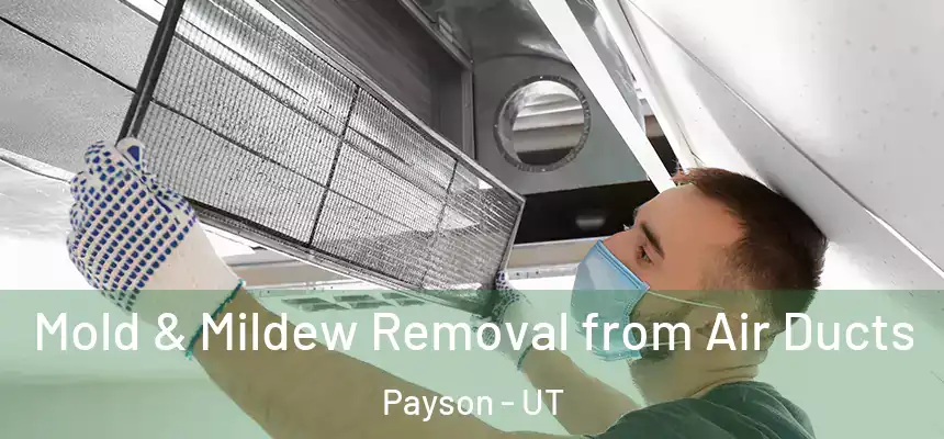  Mold & Mildew Removal from Air Ducts Payson - UT