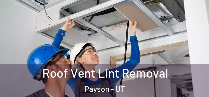  Roof Vent Lint Removal Payson - UT