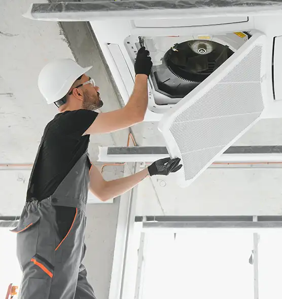 About Air Duct Rodent Removal in Payson, UT