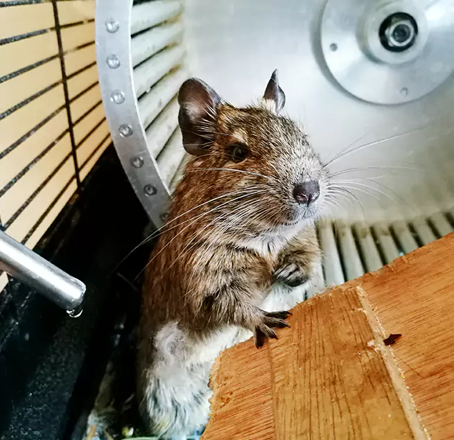 Why Homeowners & Businesses Trust Us Payson, UT?