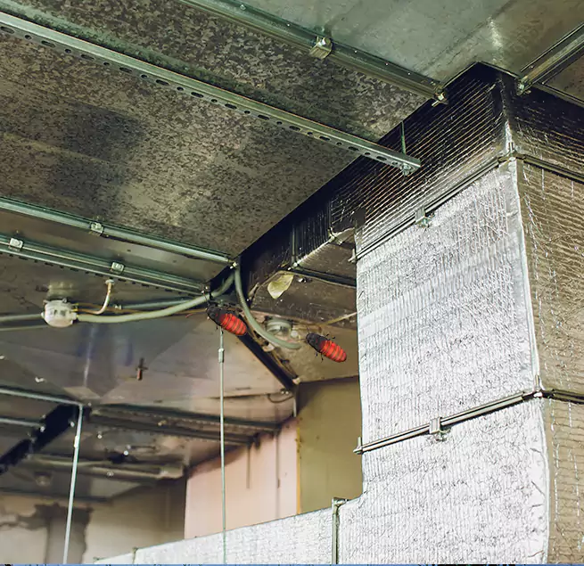 Why Homeowners & Businesses Trust Us Payson, UT?