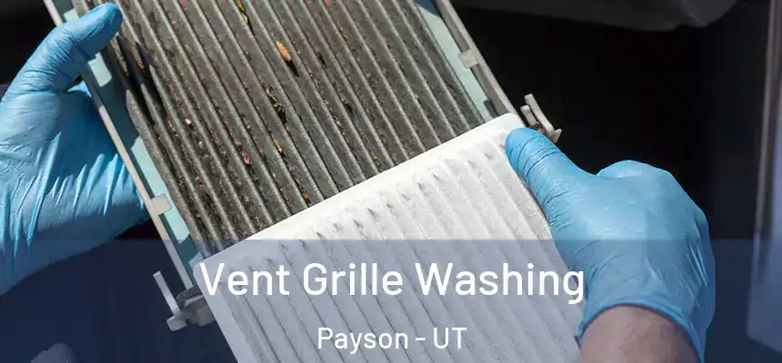  Vent Grille Washing Payson - UT